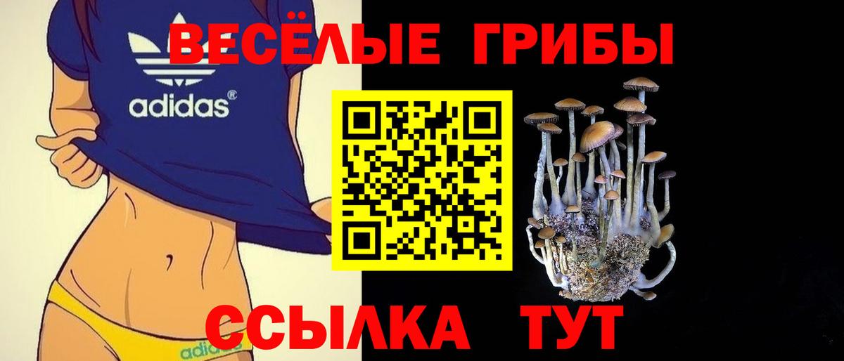 Галлюциногенные грибы Psilocybine cubensis  Вход с VPN  Кропоткин 